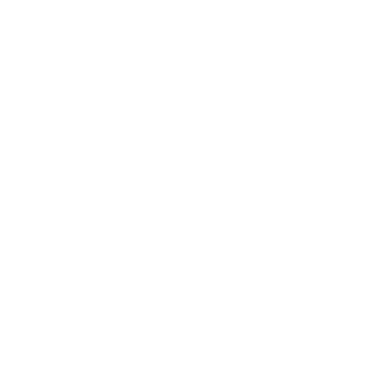 punk verein austria logo weiss